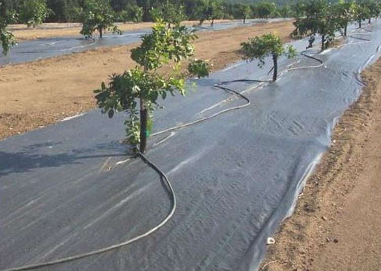 防草布、除草布